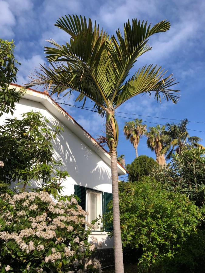 Casa Palmeira - Ferienhaus Mit Meerblick カニコ エクステリア 写真