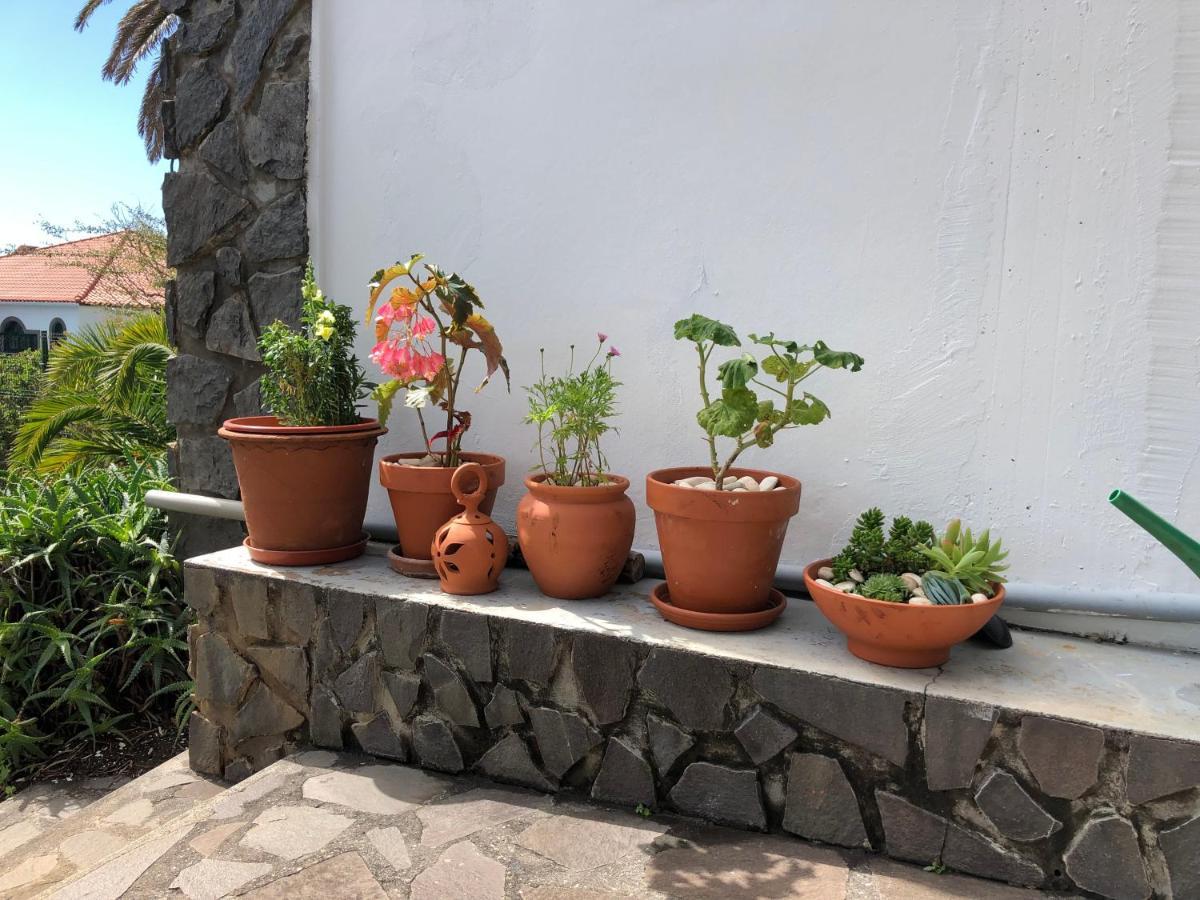 Casa Palmeira - Ferienhaus Mit Meerblick カニコ エクステリア 写真