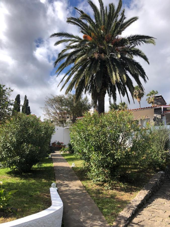Casa Palmeira - Ferienhaus Mit Meerblick カニコ エクステリア 写真